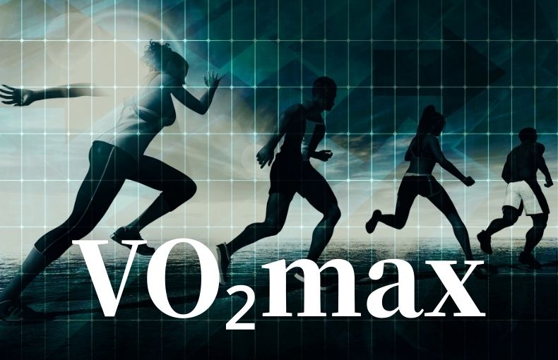 最大酸素摂取量（VO₂max）について真剣に考えてみた