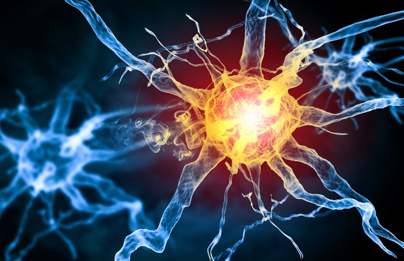 2. 科学が証明!低酸素環境が「細胞から治す」メカニズム