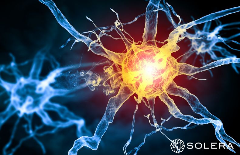 オートファジーを活性化する3つのポイント