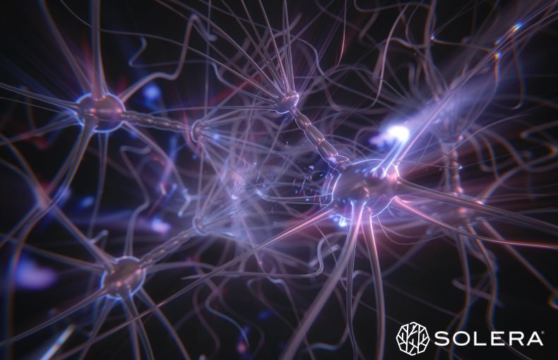 オートファジーを“活性化”する3つの条件