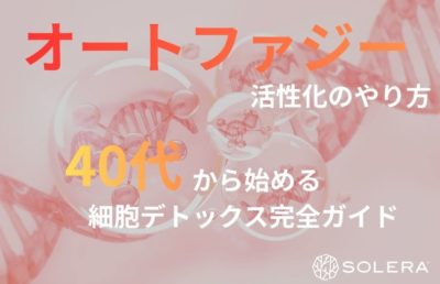 【オートファジー活性化のやり方】40代から始める細胞デトックス完全ガイド