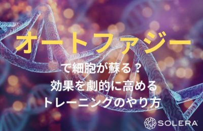 「オートファジー」で細胞が蘇る？効果を劇的に高めるトレーニングのやり方