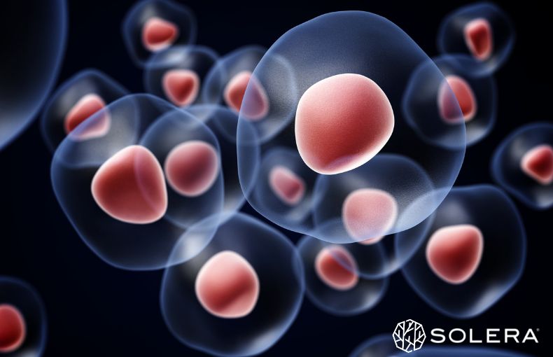 1.オートファジーとは何か？「細胞レベル」で起こる本当の変化