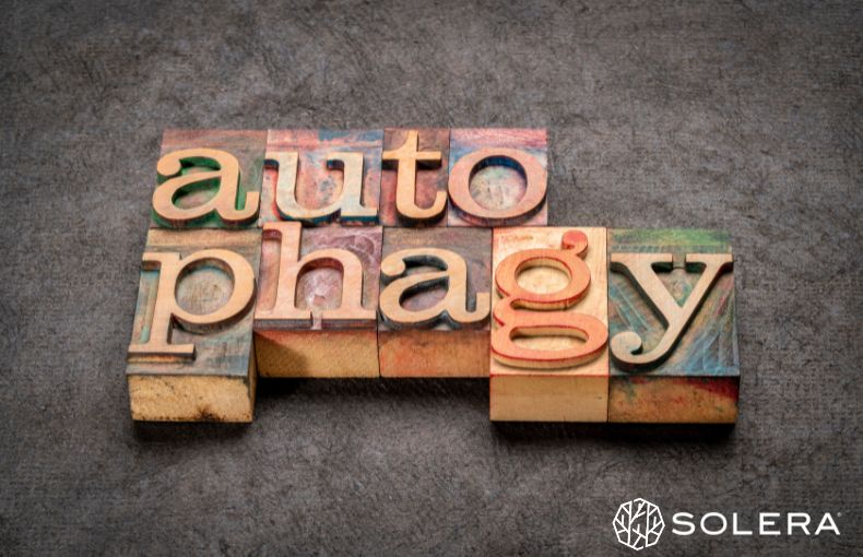 そもそも「オートファジー」とは？細胞が蘇る仕組みをわかりやすく解説