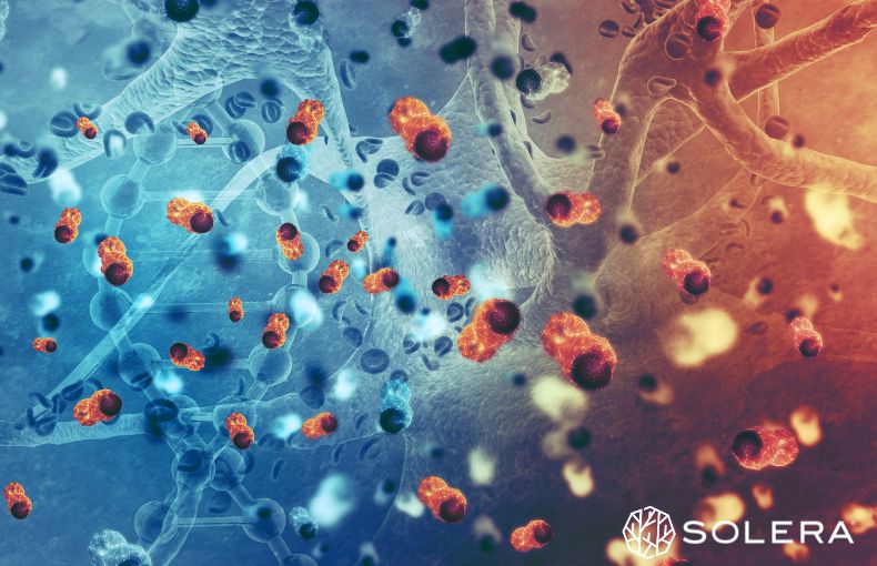 2. 細胞の究極メンテナンス「マイトファジー」をご存知ですか?