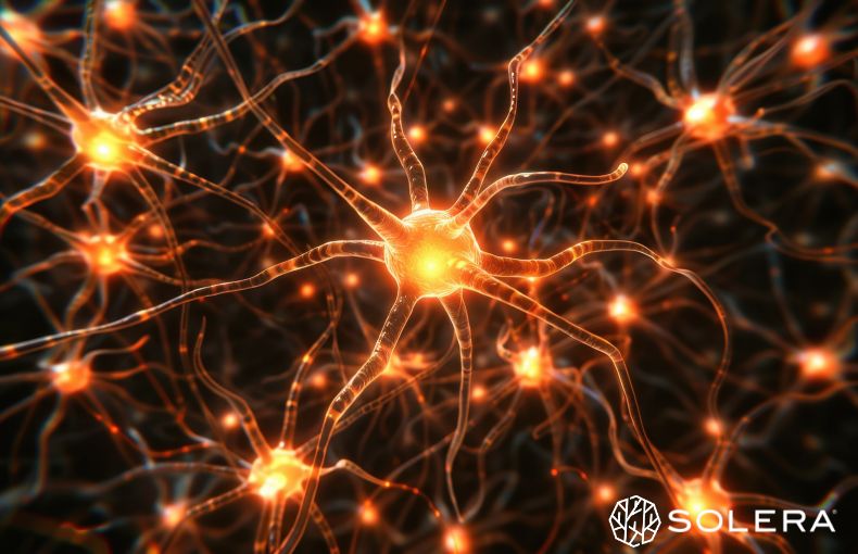 7. 今日から始める、細胞を眠らせないダイエット