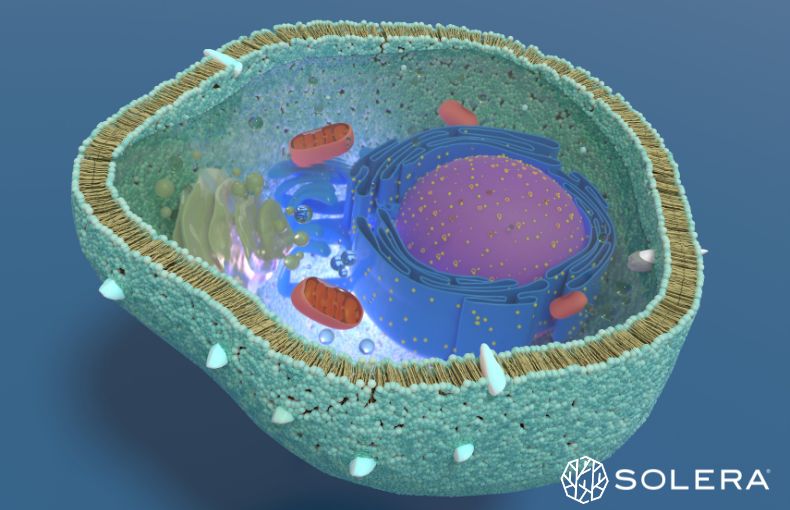 1. 四条烏丸の日常を変える。大人のための「細胞コンディショニング」