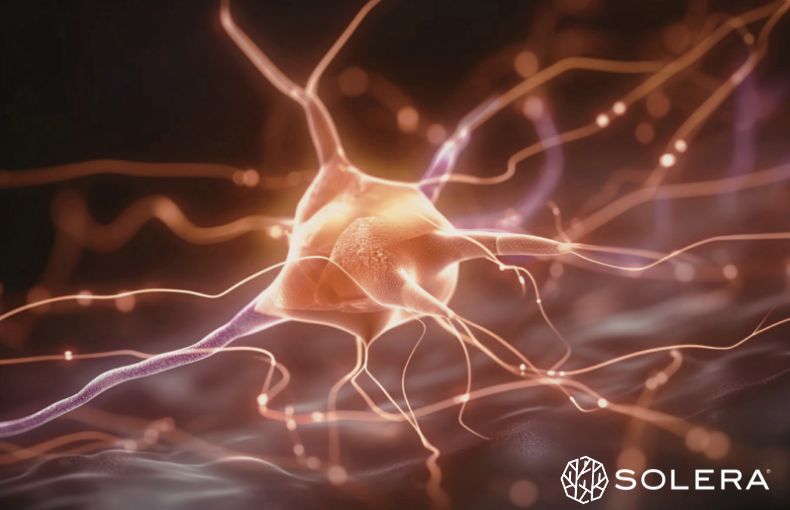 1. 「寝ても取れない疲れ」の正体は、細胞内のエネルギー不足？