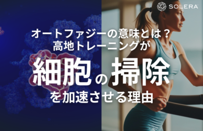 オートファジーの意味とは？高地トレーニングが細胞の掃除を加速させる理由