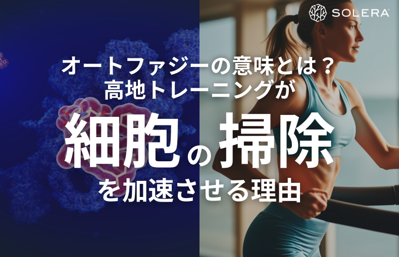 オートファジーの意味とは？高地トレーニングが細胞の掃除を加速させる理由