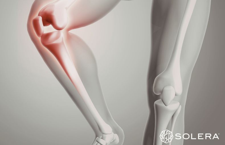 4. 運動が苦手でも大丈夫。関節に優しく「細胞」を鍛える贅沢