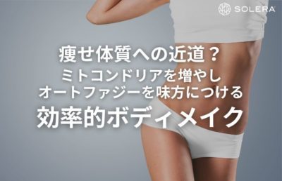 痩せ体質への近道？ミトコンドリアを増やし、オートファジーを味方につける効率的ボディメイク術