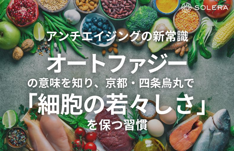 アンチエイジングの新常識。オートファジーの意味を知り、京都・四条烏丸で「細胞の若々しさ」を保つ習慣