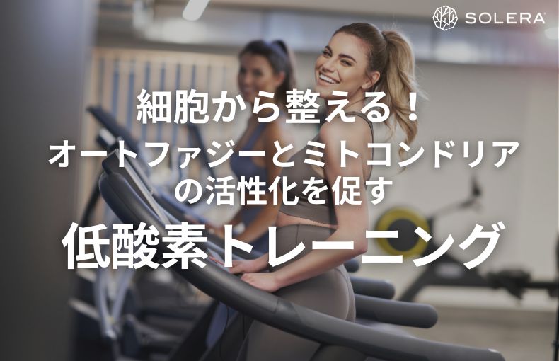 細胞から整える！オートファジーとミトコンドリアの活性化を促す低酸素トレーニングの秘密