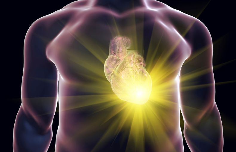 なぜ「心肺機能」が向上すると疲れにくくなるのか