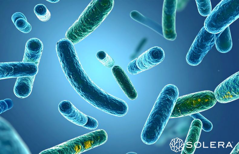 3. ミトコンドリアを元気に。細胞レベルで「スタミナ」を再構築