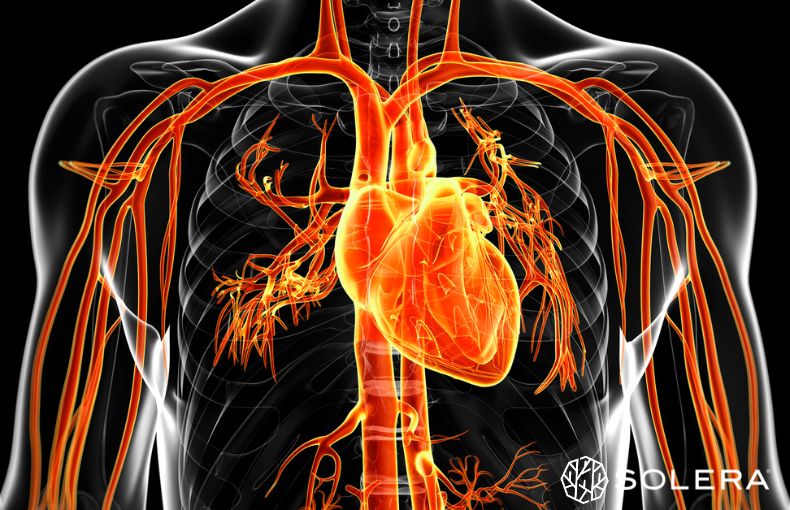 1. 忙しい現代人にこそ必要な、効率的な「心肺機能を上げる方法」