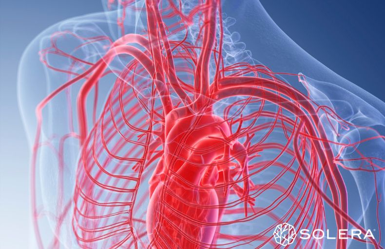 5. 自律神経の安定と血流改善。息切れ以外の嬉しい変化