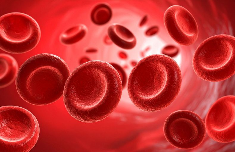 心肺機能の「真の向上」とは？酸素搬送と利用の最適化